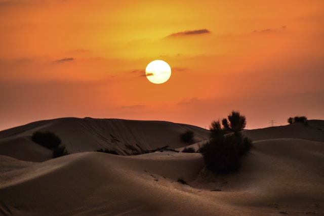 Evening Desert Safari